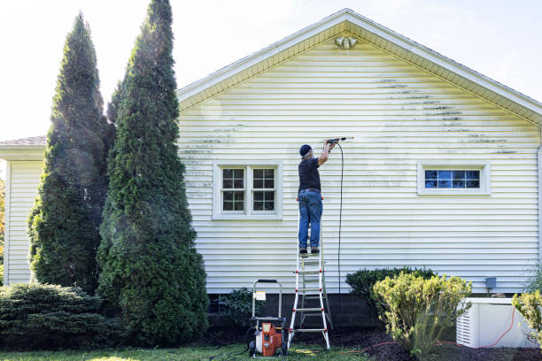 Best Roof Washing  in Mena, AR